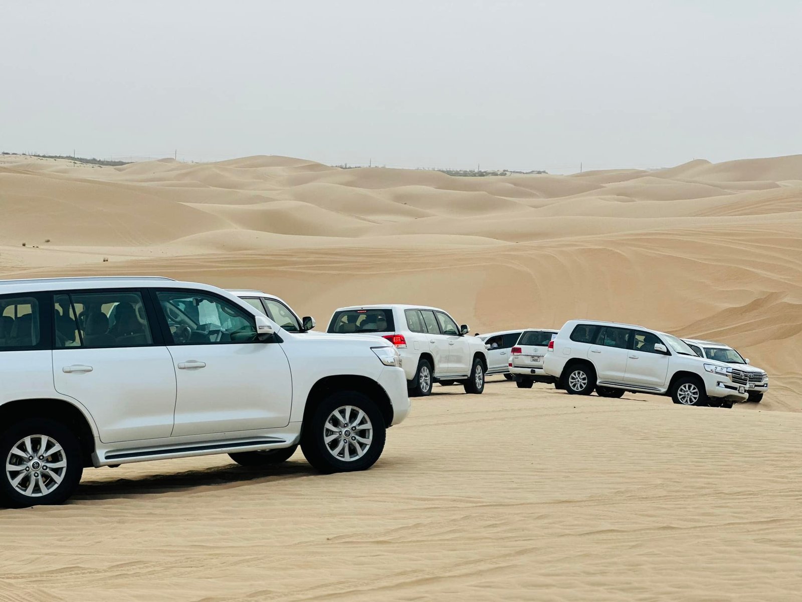 Most trusted family desert safari in Dubai